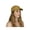 Beige, variant on Womens Flower Sequin Trim Baseball Cap - Lime Green