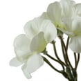 thumbnail image 3 of Vickerman Artificial 20" White Geranium Bush, 4 per Pack., 3 of 5