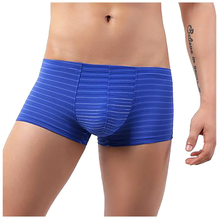 HAOTAGS Men's Underwear Sport Boxer Briefs Low-waisted Huge Pouch Trunks  Underwear Blue Size L 