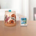 thumbnail image 2 of ScentSationals Scented Wax Cubes - Bahama Beaches, 2 of 3