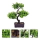 thumbnail image 2 of Decoración de escritorio de bonsai de planta artificial en maceta, 2 of 5