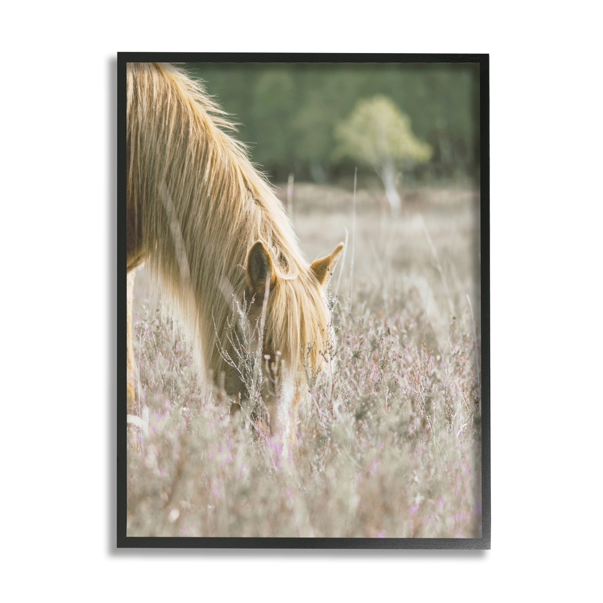 Stupell Industries Peaceful Palomino Horse Grazing Countryside Meadow , 16 x 20, Design by Leah Straatsma