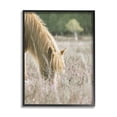 thumbnail image 4 of Stupell Industries Peaceful Palomino Horse Grazing Countryside Meadow Photography Black Framed Art Print Wall Art, 24x30, by Leah Straatsma, 4 of 5