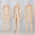 thumbnail image 4 of Doll Body XiDonDon YMY23 YMY25 masculino para muñeca SD BJD articulada, 4 of 7