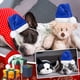 thumbnail image 4 of Conjunto de ropa navideña para conejillo de indias con gorro de Papá Noel y bufanda de animales pequeños, 4 of 5