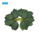 thumbnail image 3 of Uxcell Hojas Artificiales de Rosa, Hojas Falsas de Seda Verde para Boda DIY, Verde Oscuro 20 Pcs, 3 of 7