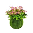 thumbnail image 2 of BotaniNest Indoor Outdoor Desktop Greenery For Home, 2 of 5