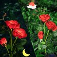 thumbnail image 3 of Luces solares para decoración de jardín, 2 piezas de lámpara LED de rosa para jardín al aire libre con panel solar impermeable, luz decorativa para jardín, vallas, caminos, terrazas, 3 of 7