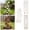 Gold 1+2+3, variant on 1 Pcs Wooden Trellis - 16 Inch Garden Trellis for Potted and Climbing Plants, Stackable Support Stakes for Garden, Houseplants, and Flower Stems (Gold2)