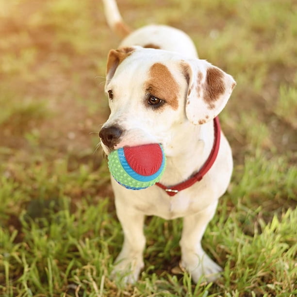 Juguete de pelota para perros, pelota elástica de goma para perros de compañía, pelota de goma para mascotas, características de vanguardia Jadeshay A