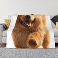 thumbnail image 1 of Balery Happy Fluffy Running Dog Manta de Franela con Dibujo, Lujo Ultra Suave y Cálido, Antipelusa y Resistente a las Arrugas para Cama, Sofá, Camping -80"x60", 1 of 6