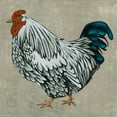 thumbnail image 2 of Zarris, Chariklia 15x15 White Modern Wood Framed Museum Art Print Titled - Roost IV, 2 of 4