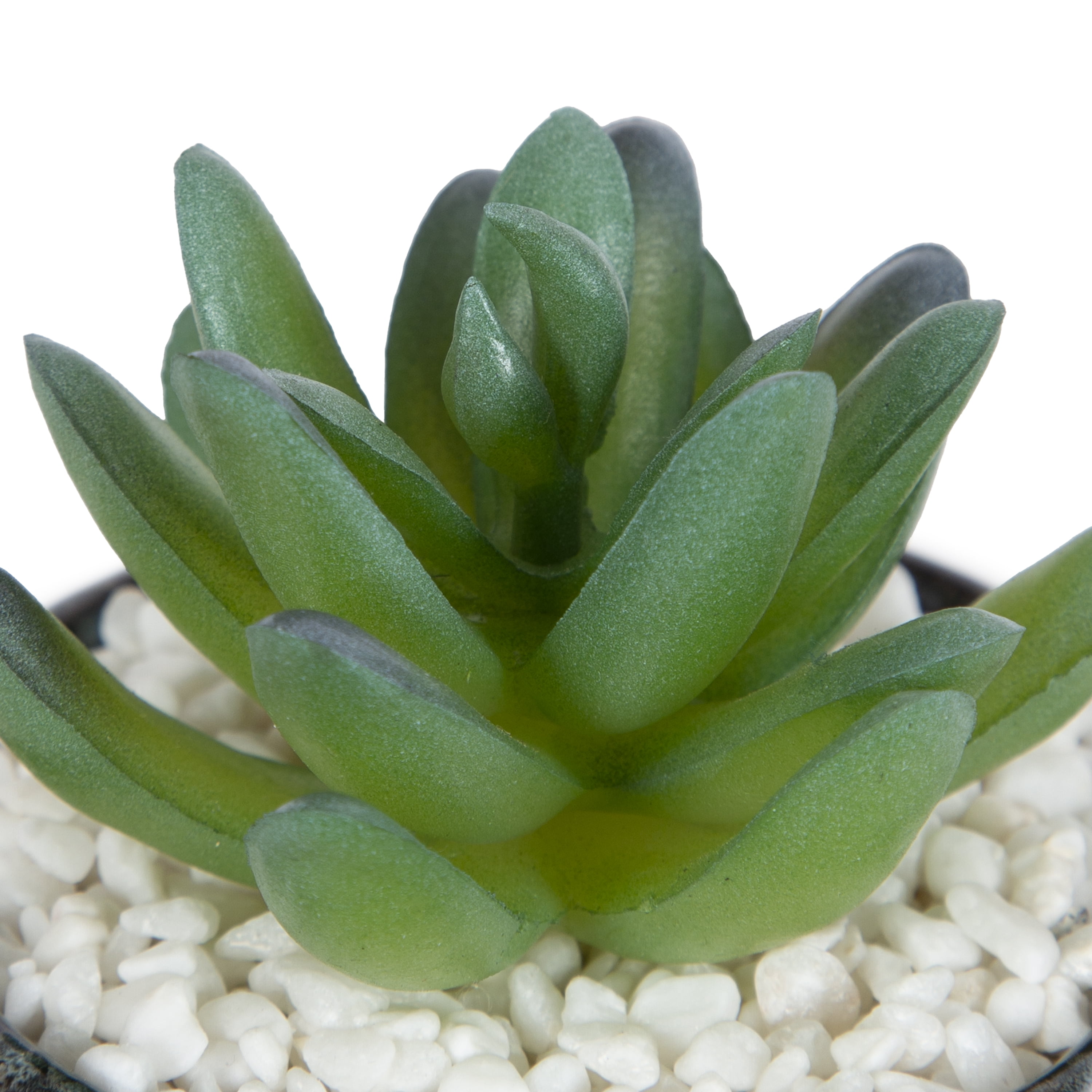 (4 pack) Mainstays 3.9" Artificial Crassula Ovata Succulent Plant in Teal Ceramic Pot