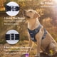 thumbnail image 4 of Arnés para perros Funfox, tamaño mediano, ajustable, negro, 4 of 8
