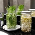 thumbnail image 5 of Kit de germinación milagrosa, solución casera para germinación con frascos de boca ancha, tapas de acero inoxidable para germinación de brotes de soja, cultivo de brotes orgánicos fácil, 5 of 5