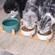 thumbnail image 3 of leyfeng Cuenco de cerámica para perros y gatos con soporte de bambú antideslizante, 3 of 8