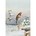 thumbnail image 3 of Harry Bright 18x24 Black Modern Framed Museum Art Print Titled - Winter -&nbsp;A Cock Robin, 3 of 5