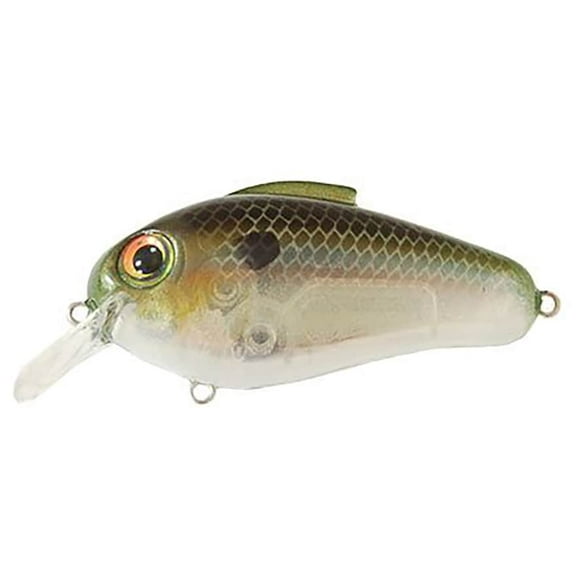 Bill Lewis Echo 1.75 Square Bill Crankbait Ghost Minnow
