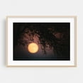 thumbnail image 2 of Arizona Moonlit Silhouette - Arizona Photography Moon Silhouette Night Sky Nature Scenic Mystical Landscape Unframed Wall Art Print 8 x 12 inches, 2 of 7