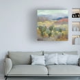 thumbnail image 3 of Julia Purinton 'High Desert II' Canvas Art, 3 of 4
