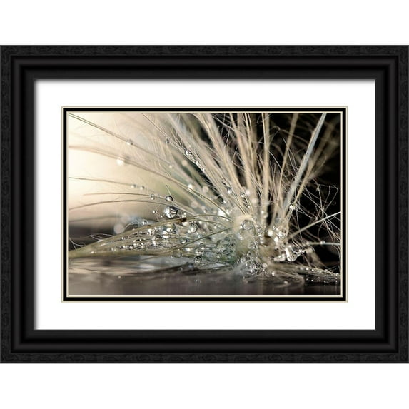 Zahirimehr, Maryam 14x11 Black Ornate Wood Framed with Double Matting Museum Art Print Titled - Pearls