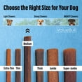thumbnail image 3 of ValueBull Collagen Sticks for Dogs, 6 Inch Medium Chews, Natural Long-Lasting Dog Treats, 100 Count Bulk Pack, 3 of 7