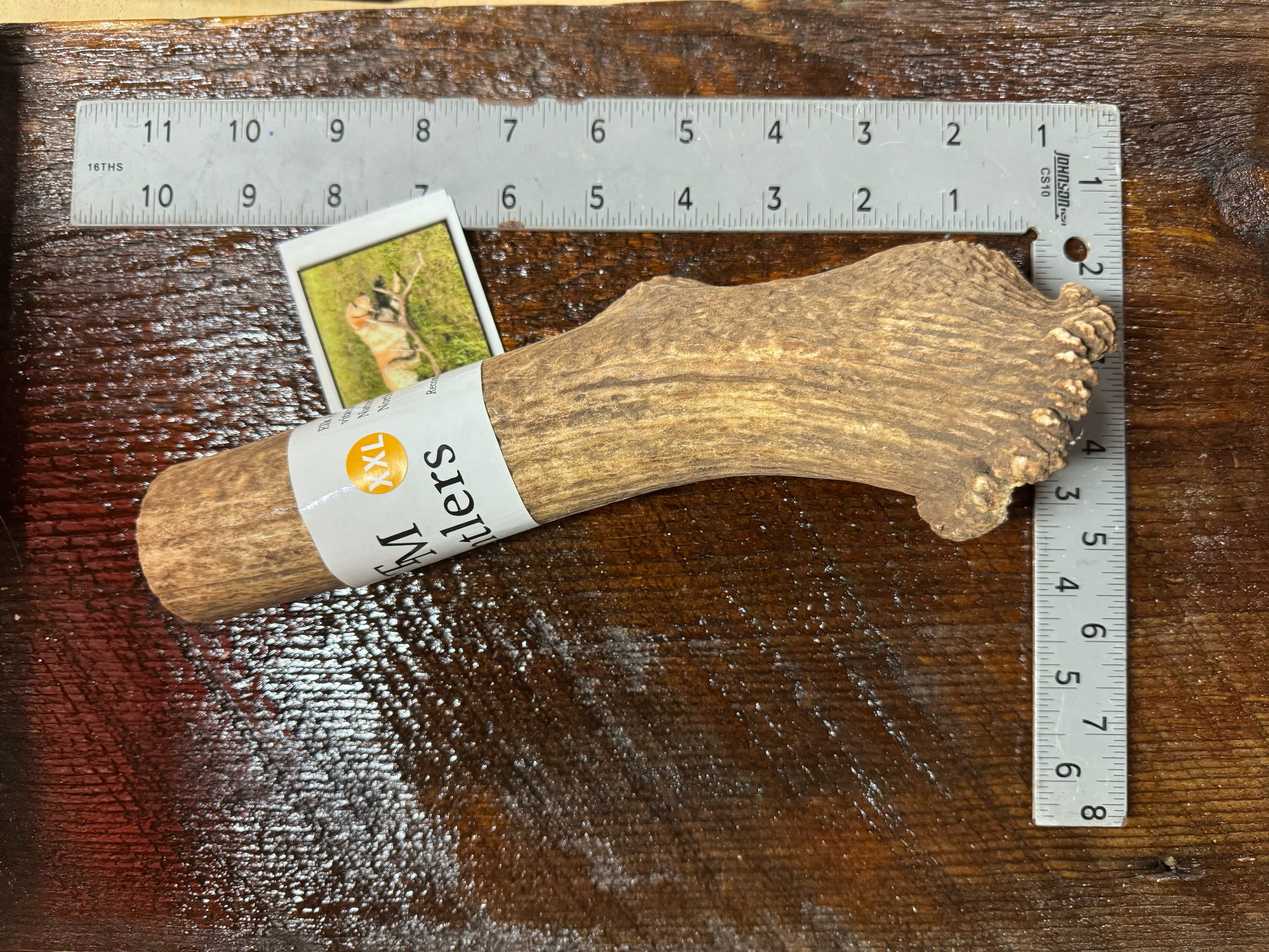TM Antlers XXL Whole Elk Dog Chew – Durable, Naturally Shed Treat for Large & Extra Large Dogs (Whole: 6”-10”, XXL, 1-Pack)