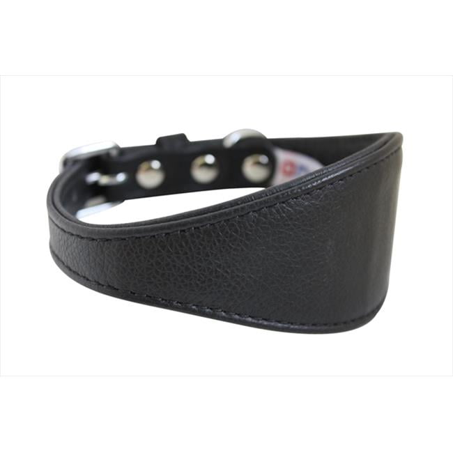 Angel Pet Supplies 41410 Hound Plain Dog Collar in Midnight Black