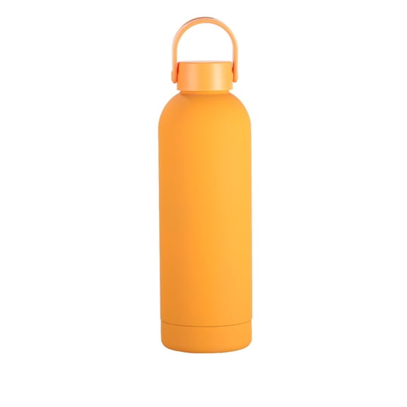 LEHOZIHEQ Stainless Steel Water Bottle, Double-wall vacuum thermal flask with top handle, Leakproof & Bpa-Free Design For Sports, Gym, Hiking & Travel Use