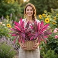 thumbnail image 6 of Artificial Tropical Plant UV Resistant Large Faux Plants Outdoor Fake Boston Ferns Potted Plants Realistic Agave Plastic Hostas Greenery Patio Outside Shrubs Flower Grass Front Porch Decor(4PC), 6 of 9