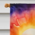 thumbnail image 3 of Iris in Color House Flag 28 in x 40 in, 3 of 5