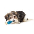 thumbnail image 4 of Petstages Mini Orka Juguetes para Perros Mordedores Hueso y Mancuerna Paquete de 6, 4 of 6