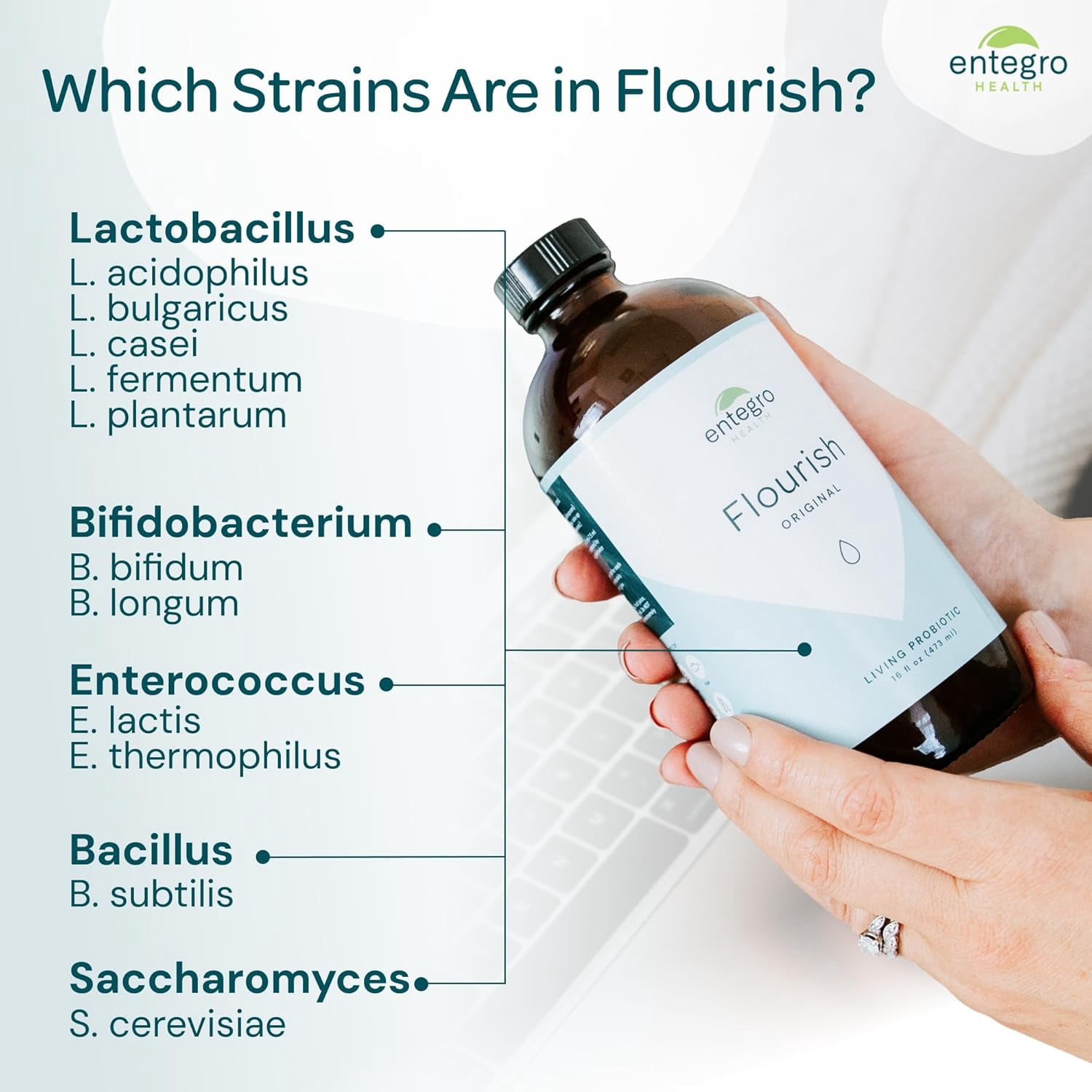 Entegro Health Flourish Original Liquid Probiotic & Postbiotic Supplement, 16 fl oz Plastic Bottle