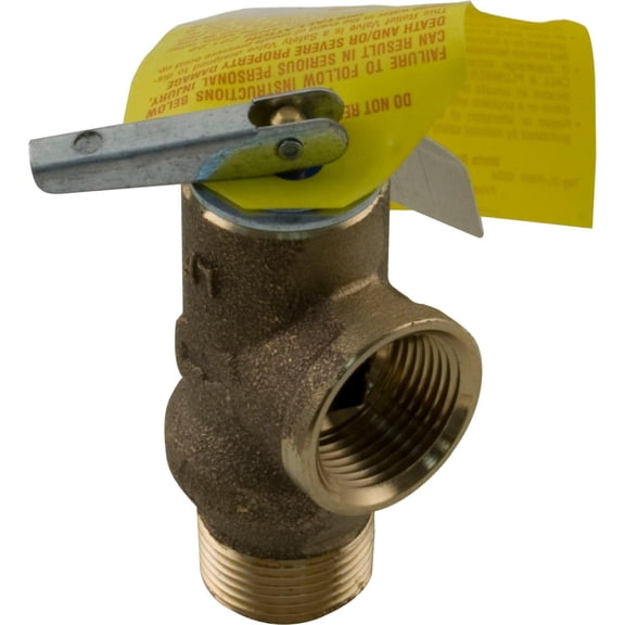 Raypak 008091F 125 PSI Pressure Relief Valve Kit