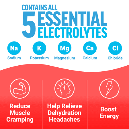 Force Factor Liquid Labs Energy Drink, Electrolytes Powder, Hydration Packets to Boost Energy & Focus, 5 Essential Electrolytes, Vitamins, Minerals, & Antioxidants, Fruit Punch Flavor, 20 Stick Packs
