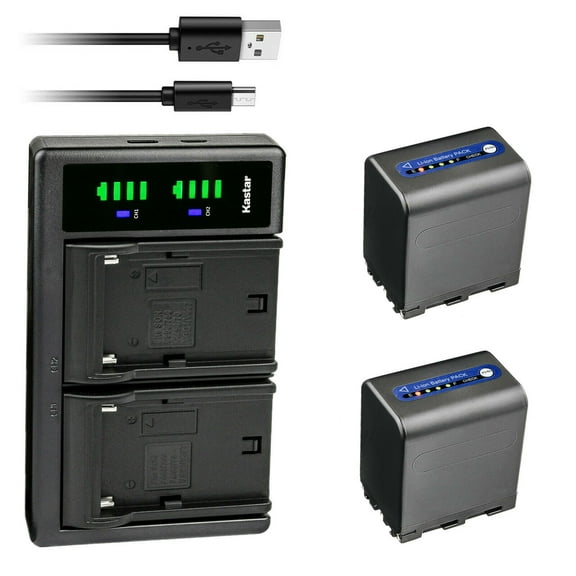 Kastar 2-Pack NP-QM91D Battery and LTD2 USB Charger Compatible with Sony CCD-TRV350 CCD-TRV408 CCD-TRV418 CCD-TRV428 CCD-TRV438 CCD-TRV608 CCD-TRV730 CCD-TRV740 CCD-TRV748 CCD-DVD100 CCD-DVD101 Camera