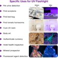 thumbnail image 2 of Black Light UV Flashlight, 12 LED Handheld Black Light, Small UV Lights 395nm, Portable Pet Stain Detector for Dog Urine, Scorpions, and Bed Bugs., 2 of 10