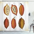thumbnail image 1 of Ambesonne Cocoa Shower Curtain, Tropical Fruit Beans Graphic, 69"Wx75"L, Multicolor, 1 of 3