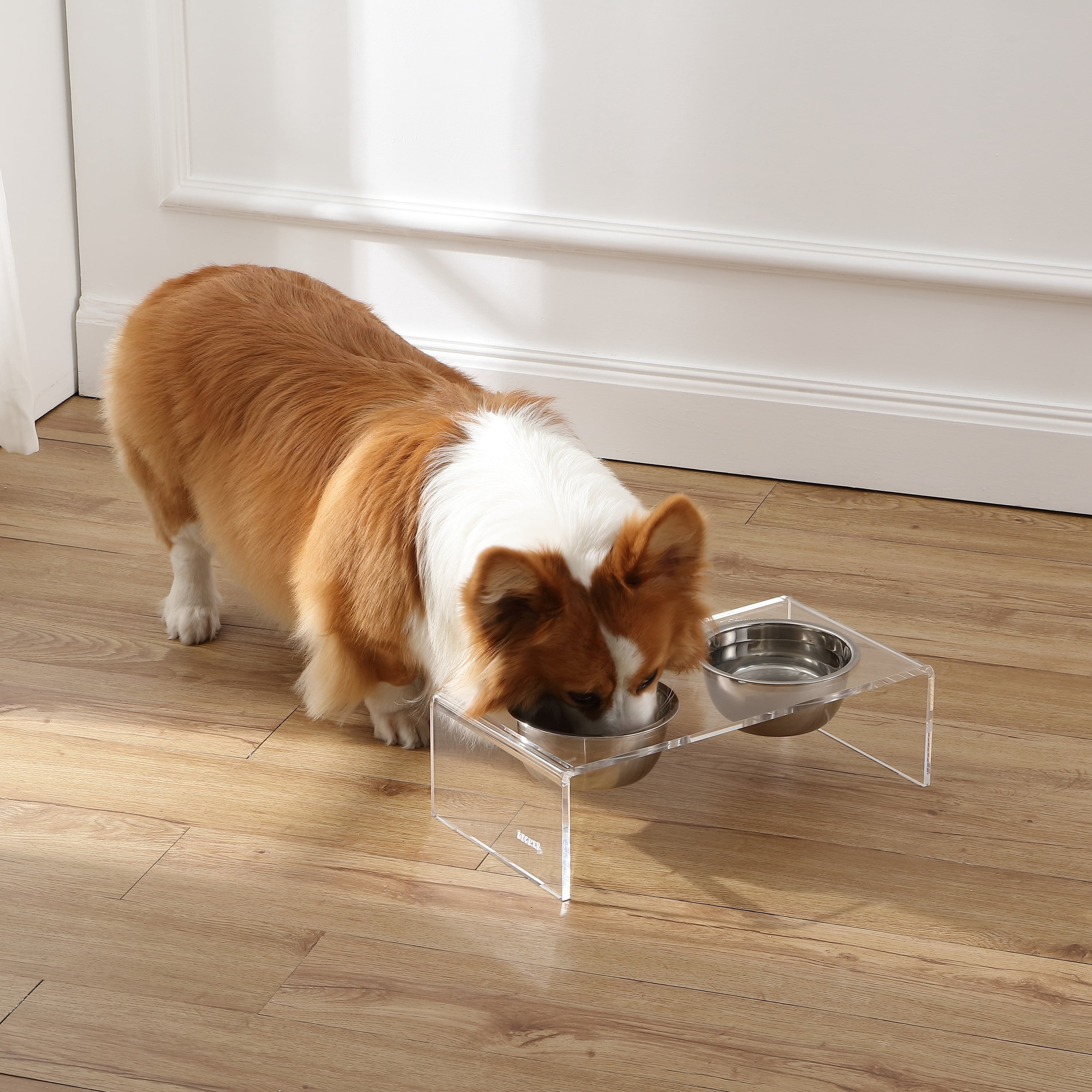 THE LICKER STORE Keaton 5" Small/Medium Modern Acrylic Rectangular Elevated Pet Feeder with 20oz 2-Stainless Steel Bowls, Clear/Chrome, DBL2000A