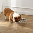thumbnail image 5 of THE LICKER STORE Keaton 5" Small/Medium Modern Acrylic Rectangular Elevated Pet Feeder with 20oz 2-Stainless Steel Bowls, Clear/Chrome, DBL2000A, 5 of 5