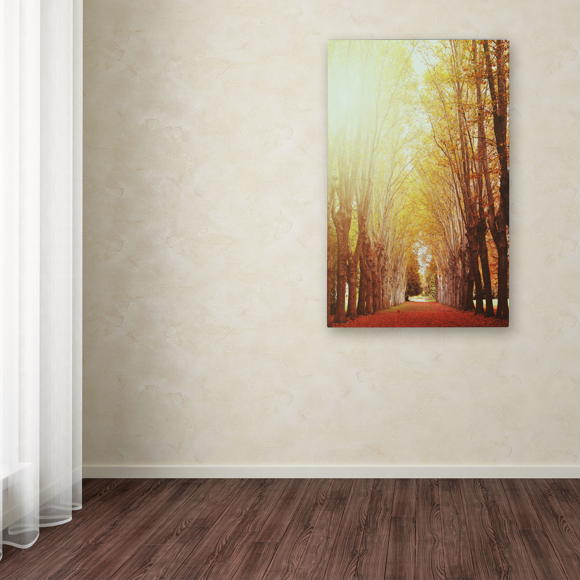 Trademark Fine Art "Fountains of Light" Canvas Art by Philippe Sainte-Laudy