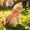 thumbnail image 6 of Breathable Mesh Pet Harness and Leash Set, Adjustable Color Block Vest for Small Medium Cats and Dogs(2#Orange-A), 6 of 6