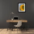 thumbnail image 3 of Fitzharris, Tim 12x14 Black Ornate Wood Framed with Double Matting Museum Art Print Titled - Sunflower, 3 of 4