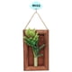 thumbnail image 1 of Planta colgante de pared Artificial decorativa falsa suculenta decoración de plantas falsas, 1 of 8