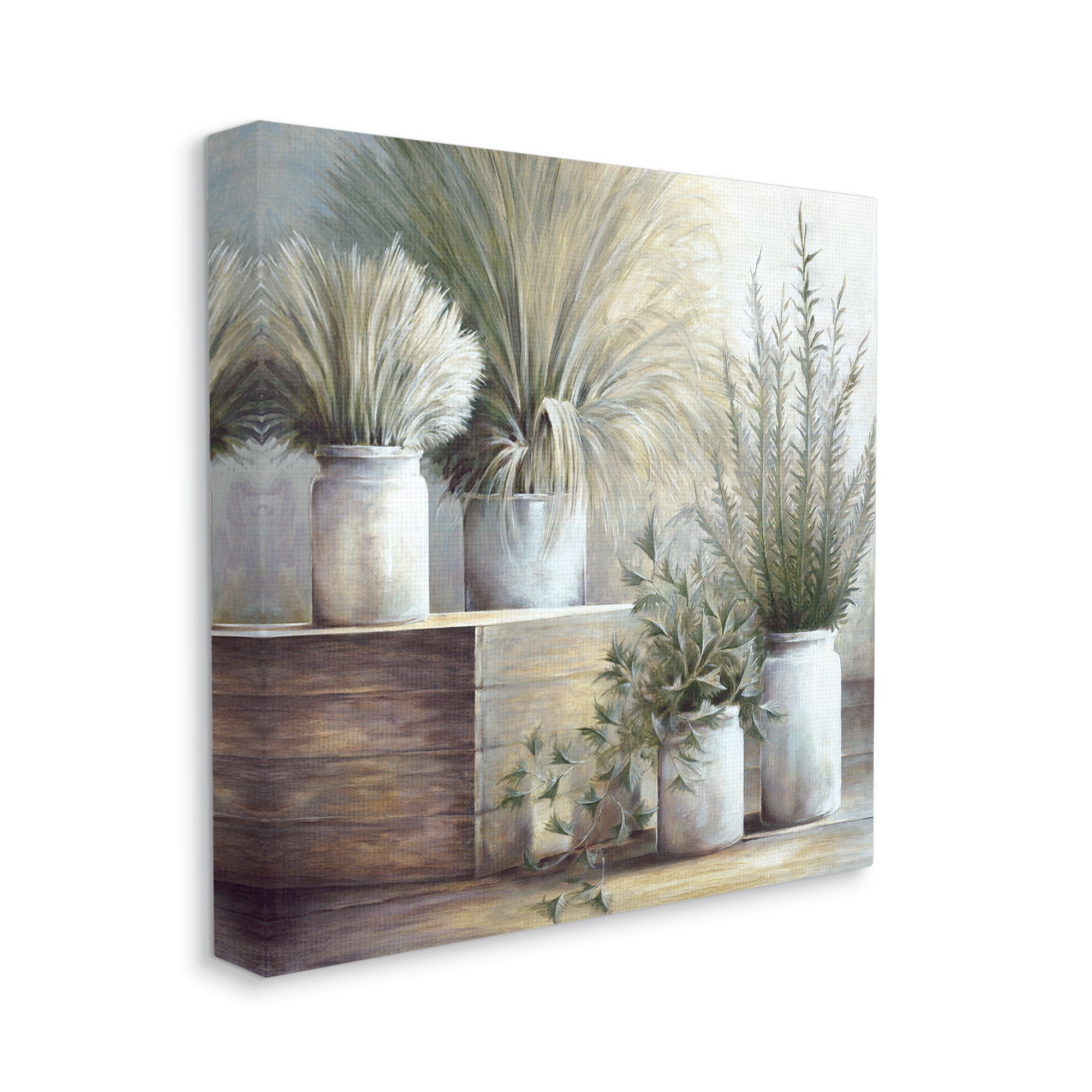 Stupell Industries Mixed Potted House Plants Indoor Garden Still Life Painting Gallery Wrapped Canvas Print Wall Art, Design by White Ladder