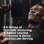 Optimum Nutrition Platinum Hydrowhey Protein Powder, Turbo Chocolate, 30g Protein, 1.8 Lb