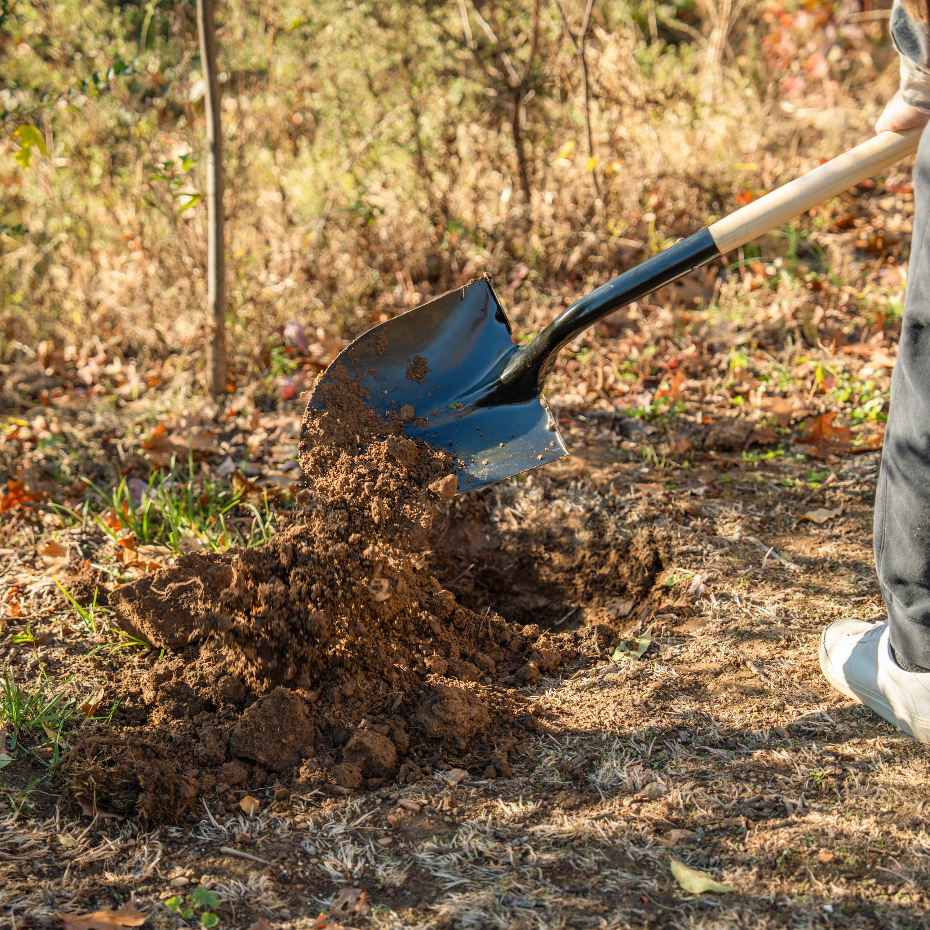 Expert Gardener Round-point Shovel with Wood Handle