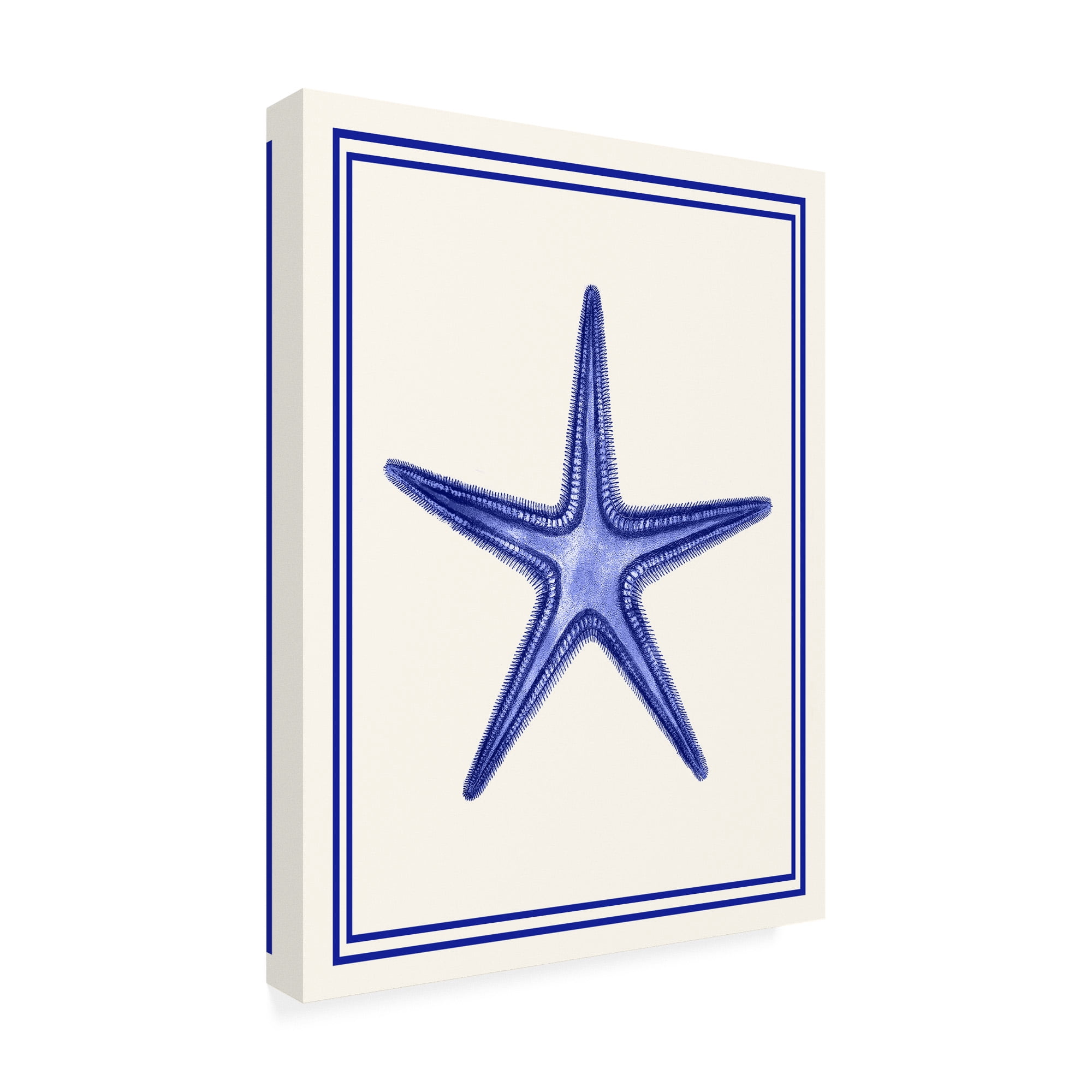 Trademark Fine Art 'Mixed Nautical Blue on Cream f' Canvas Art by Fab Funky