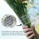 thumbnail image 2 of Soporte en Espiral para Tallos Ikebana Arreglos Florales (grande), 2 of 4