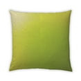 thumbnail image 1 of Ahgly Company Outdoor Square Contemporary Throw Pillow, 18 inch by 18 inch, 1 of 5